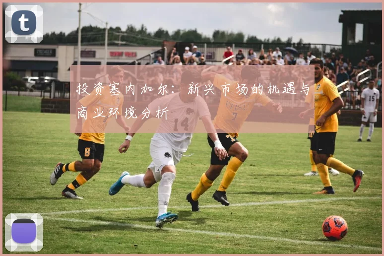 投资塞内加尔:新兴市场的机遇与商业环境分析